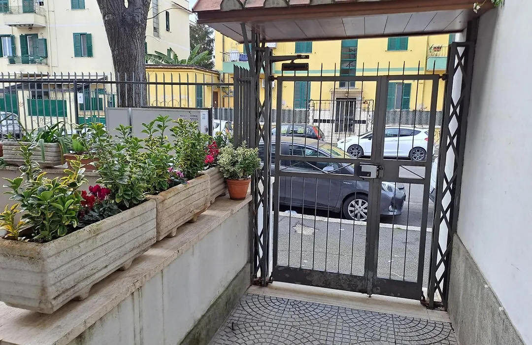 Francy Art House-1